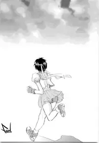 (C68) [Sarurururu (Doru Riheko)] Holic 5 Doors (Street Fighter)