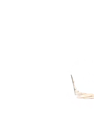 Yuuka-Chirabatta Daiyoukai no Kakera-