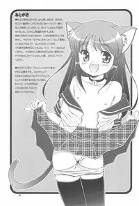 (C70) [Yanasegawabeya (KIYOSE)] L.L7 Neko no Hon