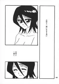 (C70) [SAKURAEN (Suzume, Okada Reimi)] Himegimi to Inu (Bleach)