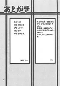 [BoLT-KING (Kanetaka Souichi, MU.)] Ragnarok Online B3 (Ragnarok Online)