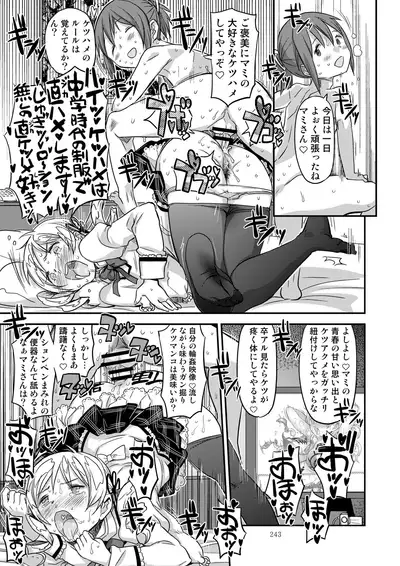 [GADGET (A-10)] Kongan Tanetsuke Koushuu Benjo (Puella Magi Madoka Magica)