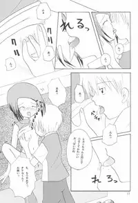 (C59) [Cheese-iri Kamaboko-dou (Mako Cube)] Hikari Mania (Digimon Adventure 02)