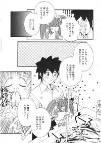 Colorful Bee 1999-07