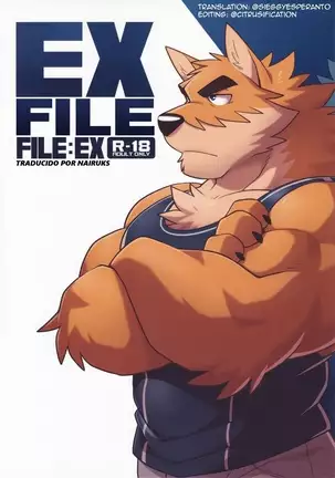 Ex-File