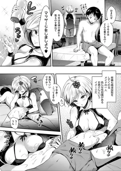Harem Maid No Damedame Ecchi