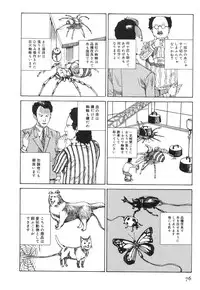 [Kago Shintarou] Kasutoru Shiki