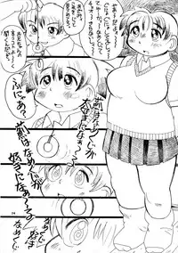 (SC4) [Team Shuffle (Various)] Hikan Musume 2