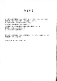 (C87) [Psychetangle (Keta)] Kimochi Yoku shite Orin-chan! (Touhou Project)