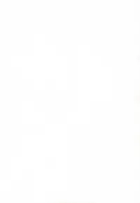 [AB NORMAL (NEW AB)] ACTION! (Tenshi no Shippo)