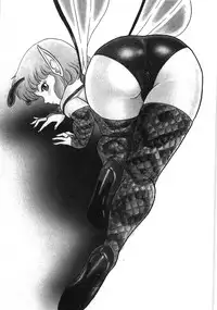 [Kondom] Bondage Fairies Zannin Shimai