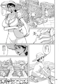 (C88) [Shiawase Pullin Dou (Ninroku)] Package Meat 11 (Queen's Blade)