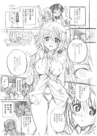(C80) [STUDIO MOEBUTA (Shaa, Fuzuki Yoshihiro, Sacchie)] OH!MY PIGS (Kanzenban) (Infinite Stratos)