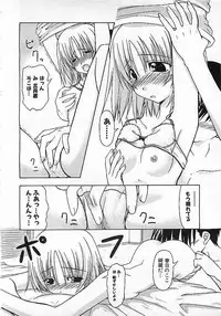 Colorful Bee 1999-10