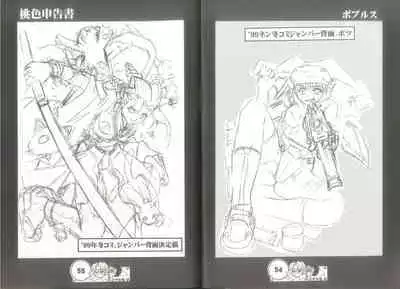 桃色申告書 ver.MILLENNIUM FALCON