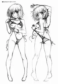 (C82) [BRIEST (Yatsushima Tetsuya)] LMR/15 (Mahou Shoujo Lyrical Nanoha)