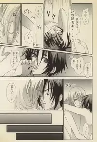 [3×3CROSS (Kamui Marimo)] Koushoku Shounen (Gundam SEED DESTINY)