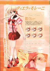 Primitive Link Visual Fanbook