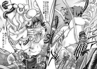 Onmyou Taisen Valgaknight Zenki Soushuuhen