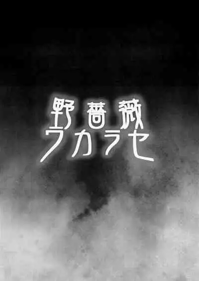 Nobara Wakarase | Wild Rose Wakarase