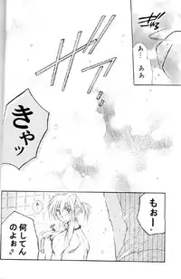 (C67) [Sakurakan (Seriou Sakura)] Lovers (InuYasha)