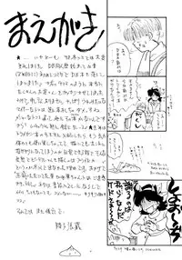 [Chirigami Goya, Fusuma Goten (Shoji Hariko, Kuri)] Wakayo (Dragon Ball GT)