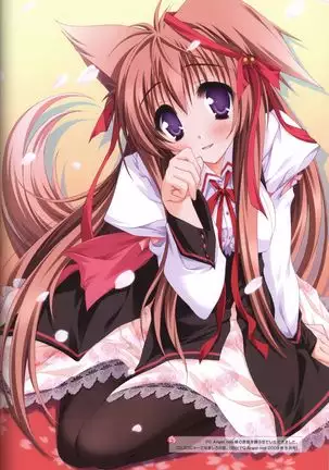 Tayutama -It's happy days- Visual Fanbook