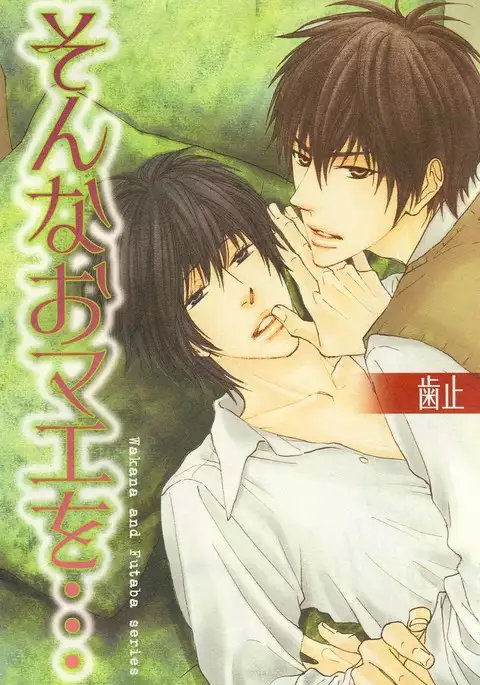 b-BOY Phoenix Vol.14 Kichiku Tokushuu