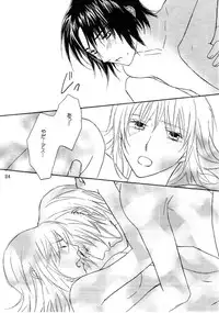 [Berry & Precious] Beautiful Beast (Gundam SEED DESTINY)