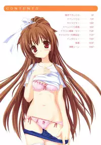 Bra-Ban Visual Fanbook