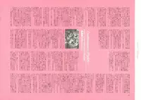 [Nishieda] Dendrobium (Decensored)