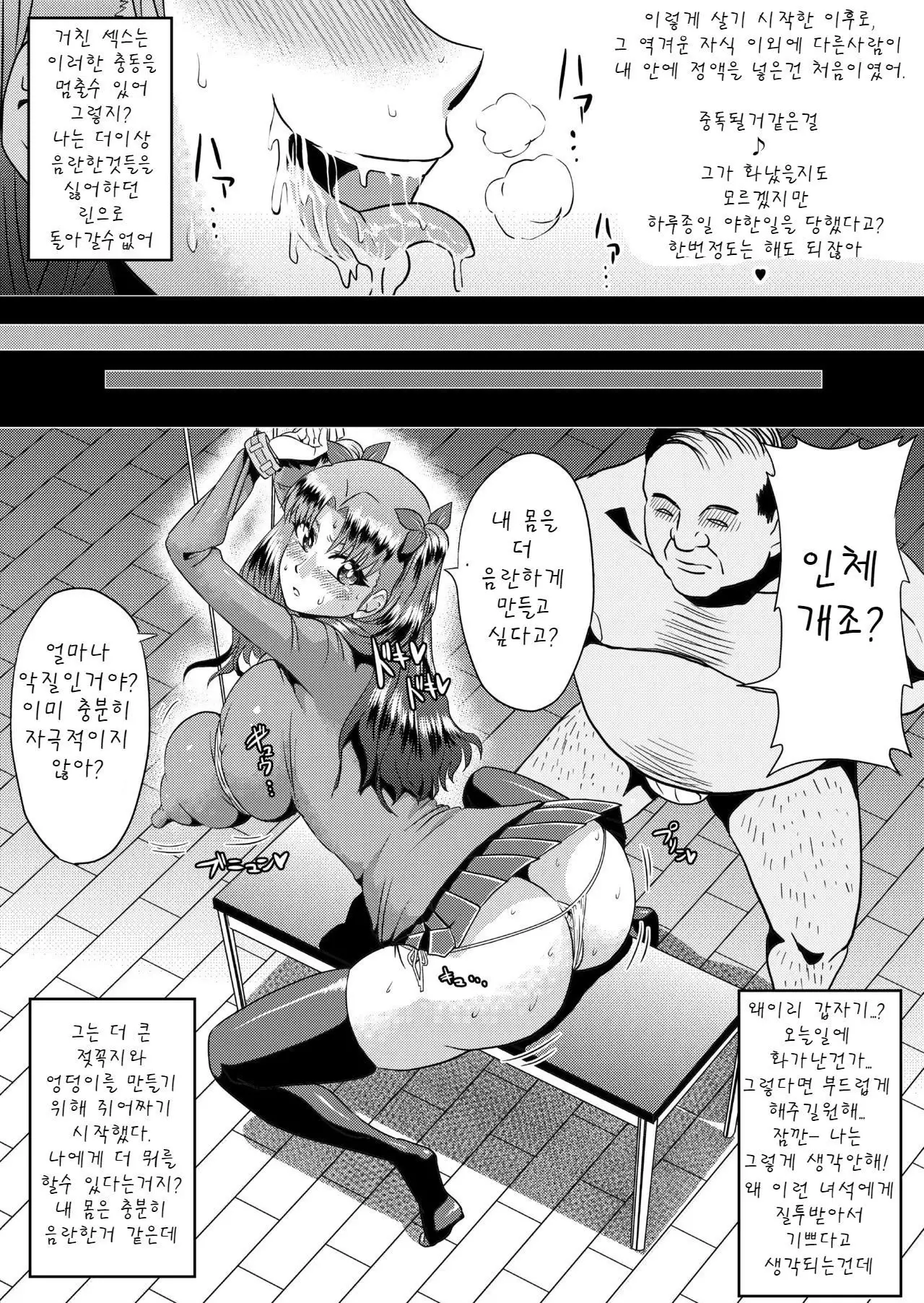 Rin no Inran Funtouki | 린의 음란 분투기