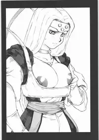 [Machwing (Raiun)] DQP Sairoku Hon (Dragon Quest)