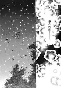 (C68) [Sakurakan (Seriou Sakura)] Tobikiri no Himitsu 3 <<Kanketsuhen>> (Inuyasha)