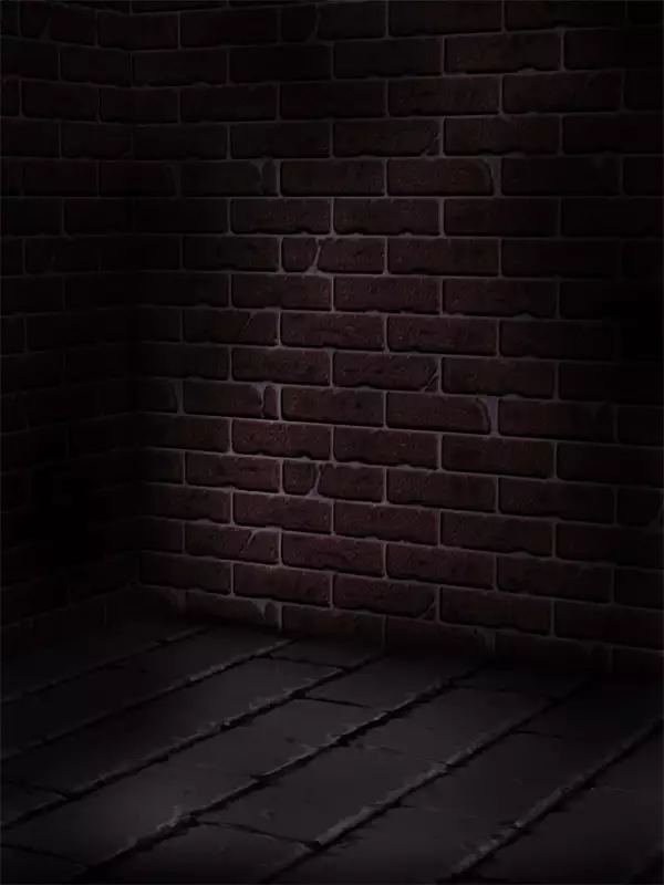 H.S.C. Illustration collection Vol.1&2 Renewal