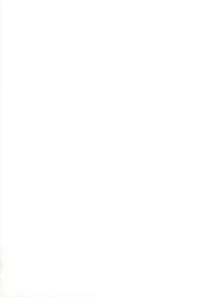 Twintail na Onnanoko Hon 7.8.9 Tsumechaimashita.