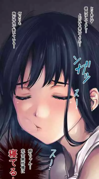 Komarigao na Bijin no Ane o Osotte Yaritai Houdai Yatta Hanashi