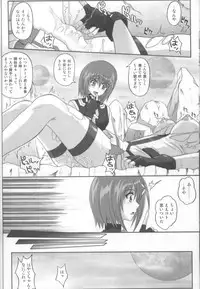 [Cyclone (Izumi Kazuya)] SSDD (Mahou Shoujo Lyrical Nanoha)