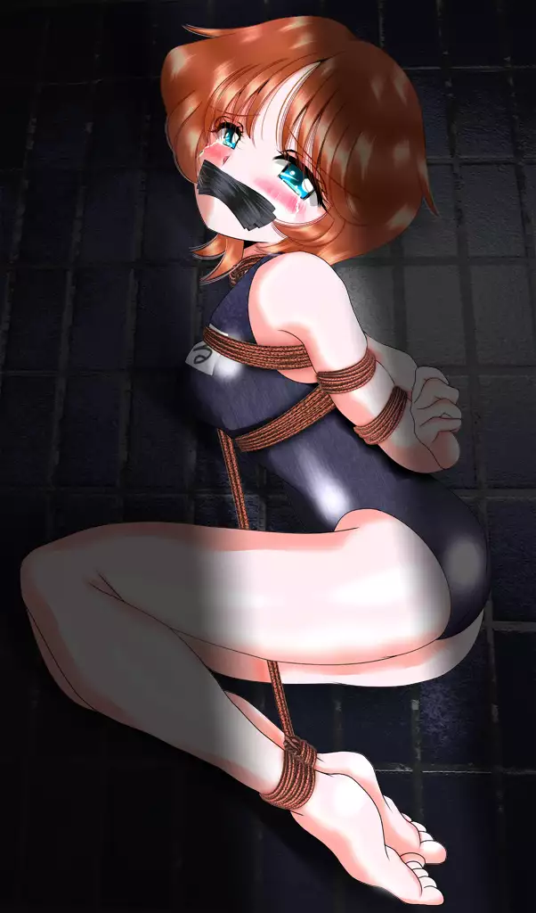 Hakurai Shoujo Series