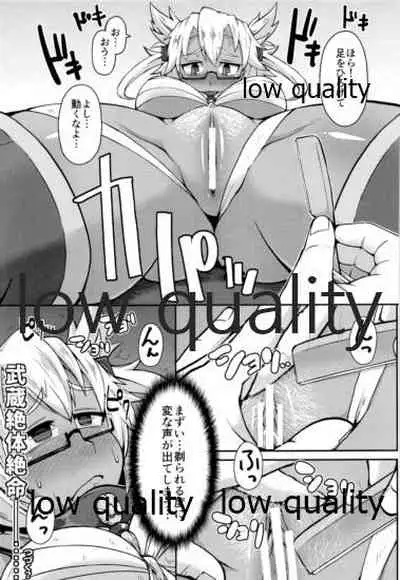 ソリコレ 艦娘剃毛合同