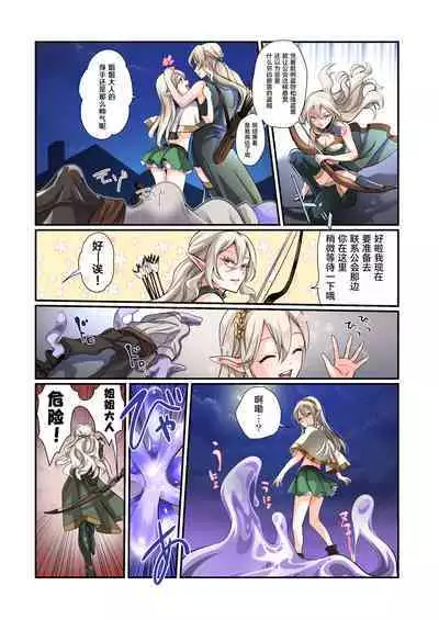 Touzoku, Elf o Nusumu