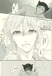 (HaruCC21) [Cutie★Complex (Hatsuka)] Neko no Kimochi 3 (Kuroko no Basuke)