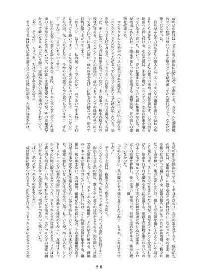 Tenshin Ranman Gigantic Extreme 8th