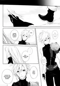 (C80) [kiki (Fujiwara Beni)] ambivalenz | Ambivalence (Dissidia Final Fantasy) [English]