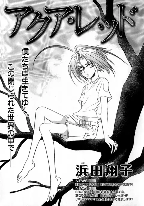 b-BOY Phoenix Vol.6 Gijinka Tokushuu