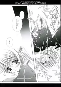 (C68) [A.L.C (Kannazuki Nem)] DEAR WONDERFUL WORLD (Ragnarok Online)