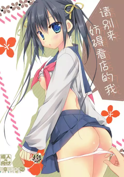 Miseban no Jama Shinaidekudasai!!