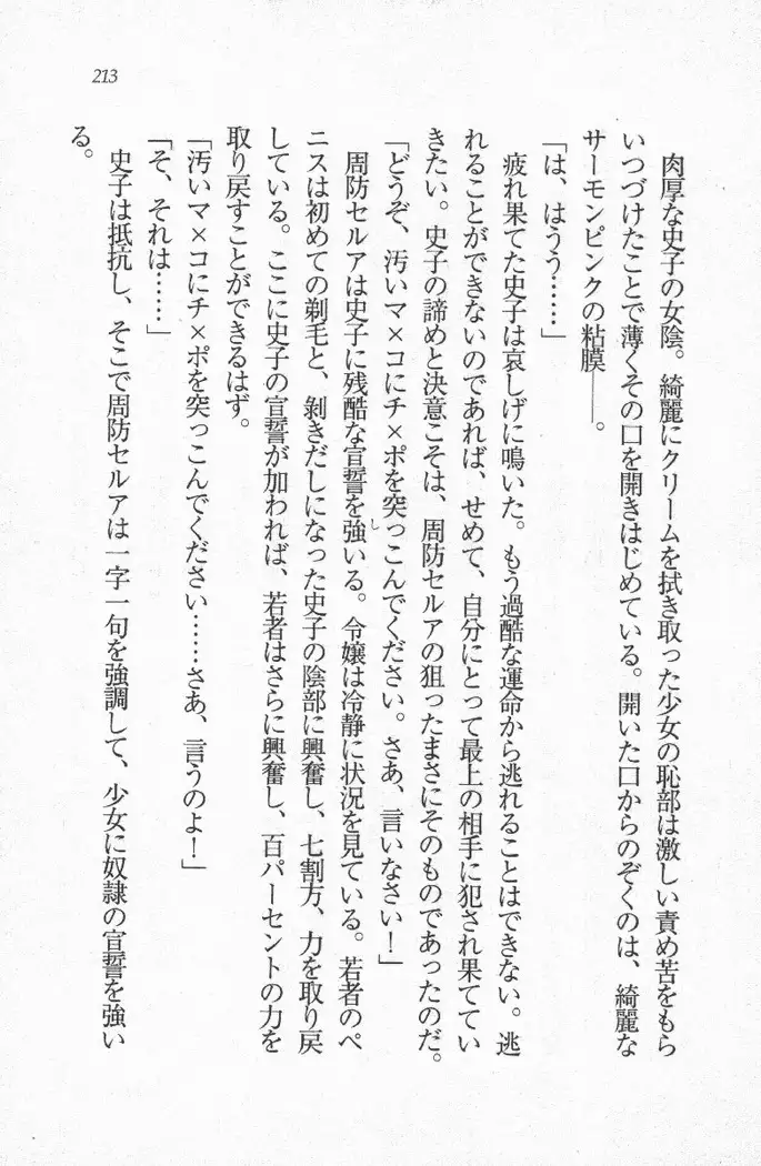 メイド喫茶 猫の隠れ家