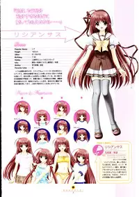 Shuffle! - Visual Fan Book