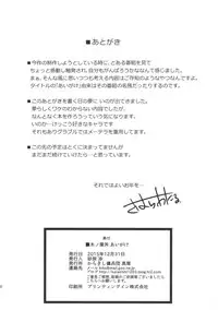 (C89) [Karakishi Youhei-dan Shinga (Sahara Wataru)] Konoha Donburi Aigake (NARUTO)